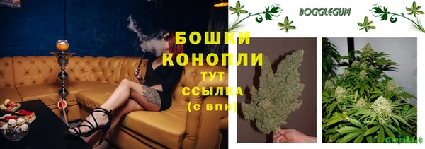 экстази Дмитриев