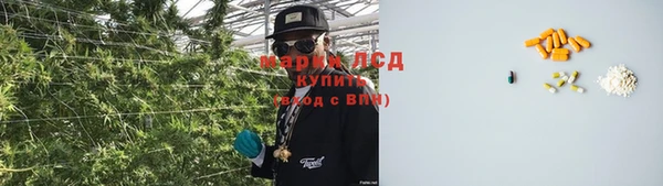 экстази Дмитриев