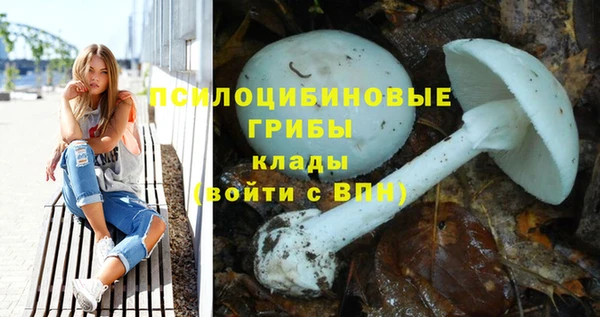 мяу мяу кристалл Дмитров