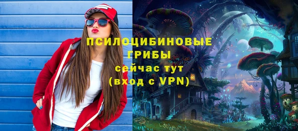 мяу мяу кристалл Дмитров
